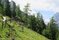 Schärtenalm