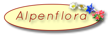 Ferienwohnungen Haus Alpenflora in Ramsau bei Berchtesgaden