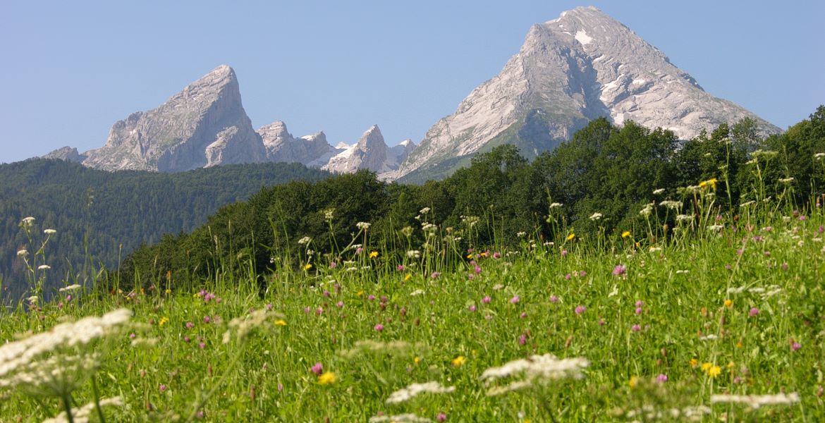 Ferienwohnungen Haus "Alpenflora" in Ramsau bei Berchtesgaden